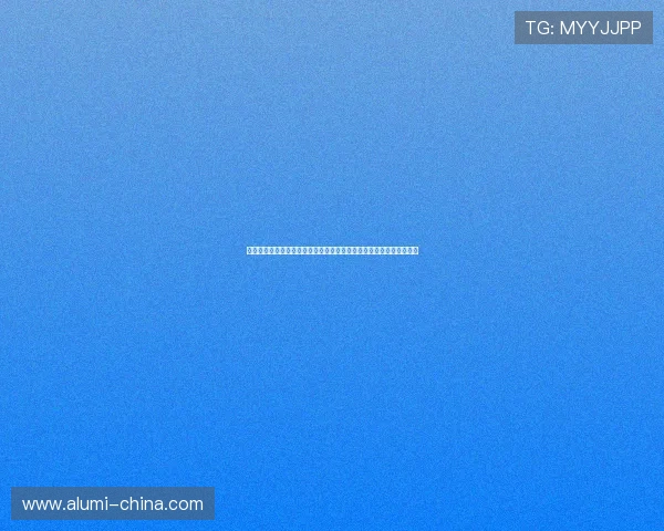 银河澳门官网入口详细攻略，帮助新手玩家顺利进入澳门赌场游戏世界
